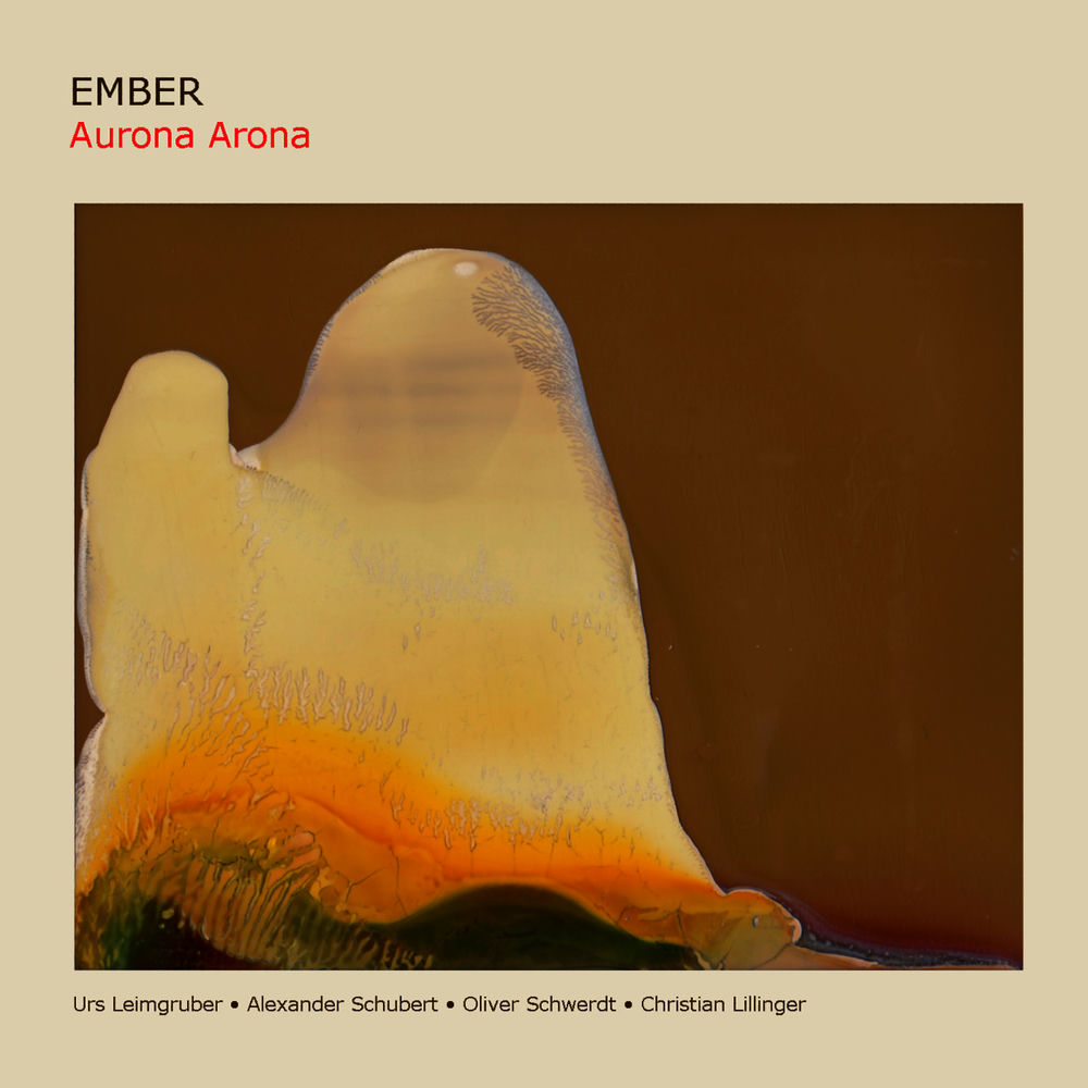 Banner Kép