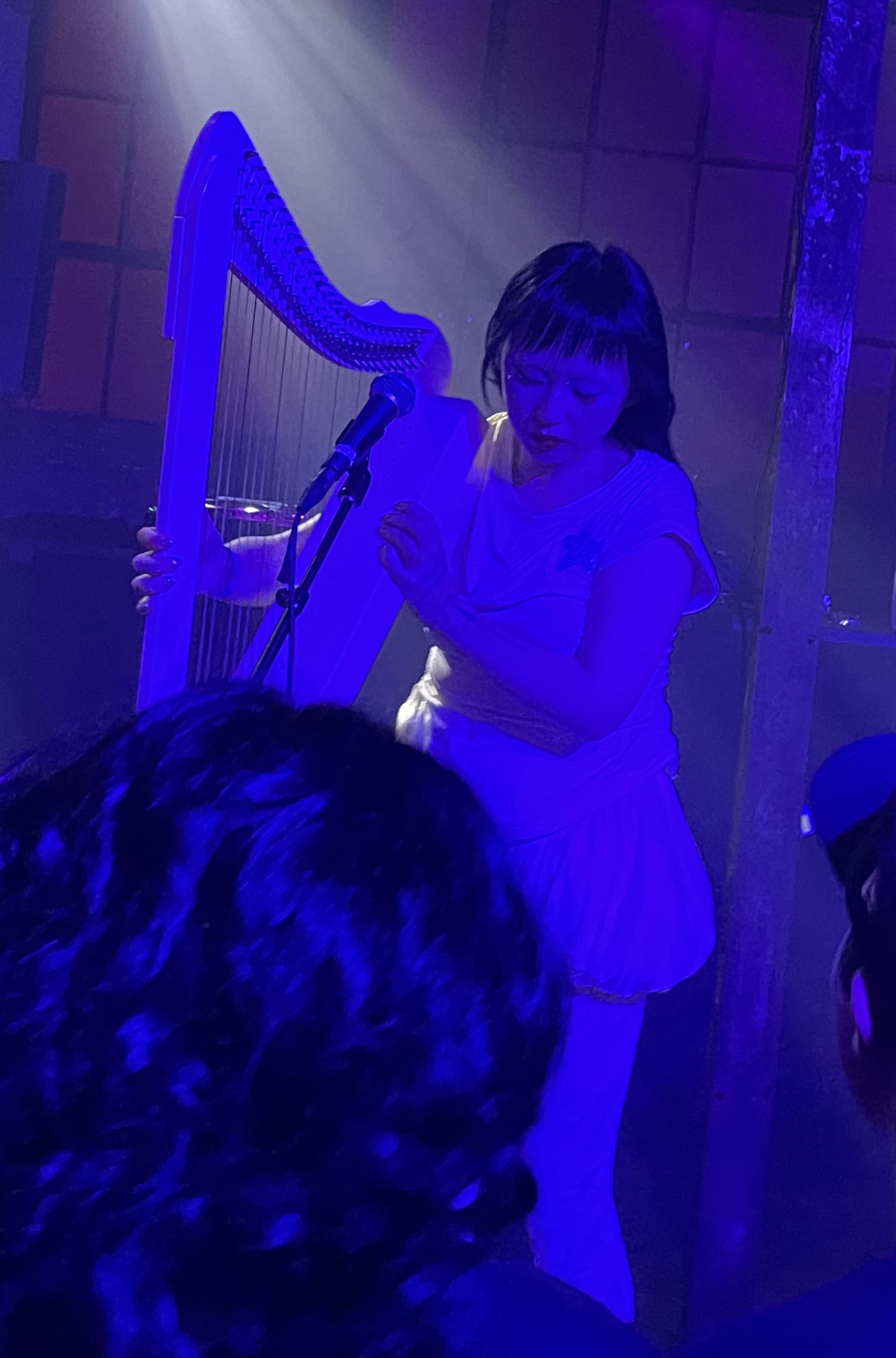 Banner Kép