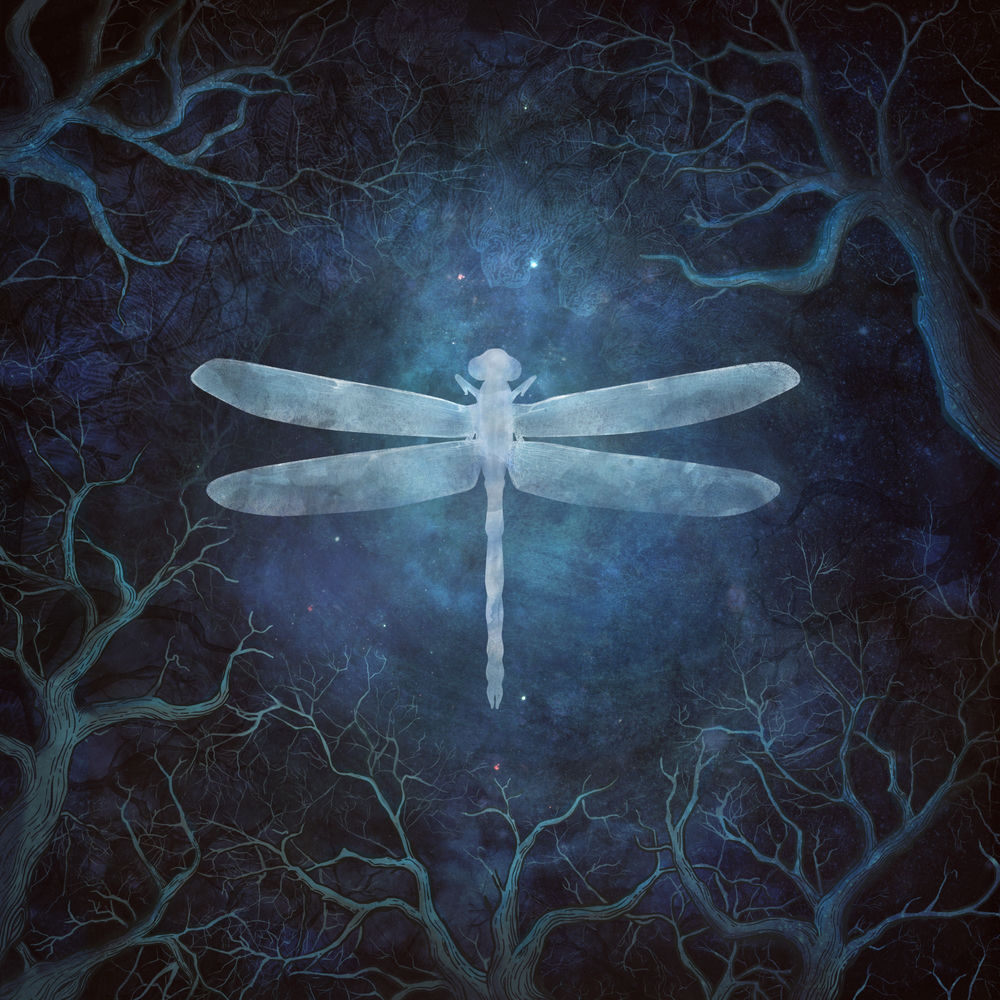 Banner Kép