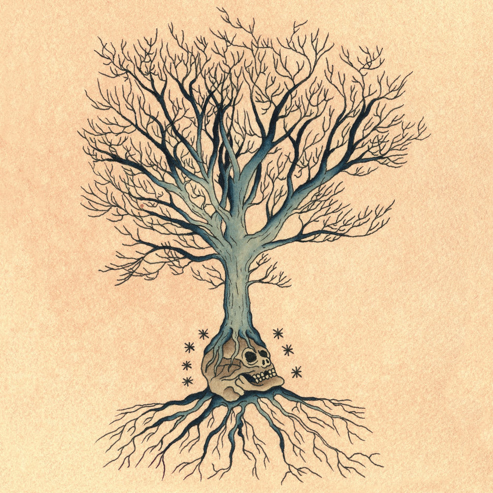 Banner Kép