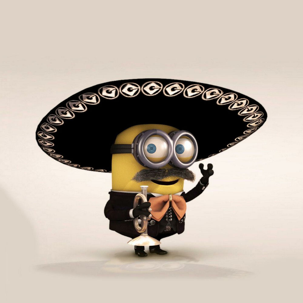 Banner Kép