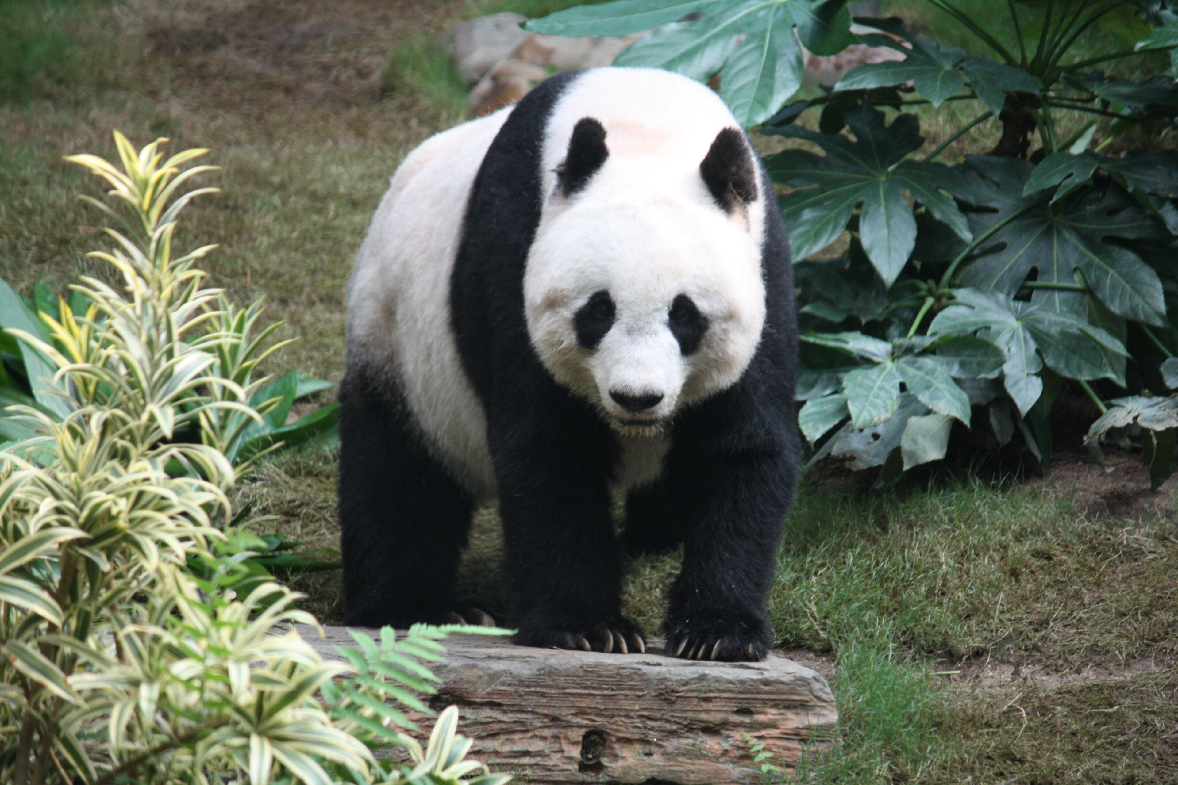 Banner Kép