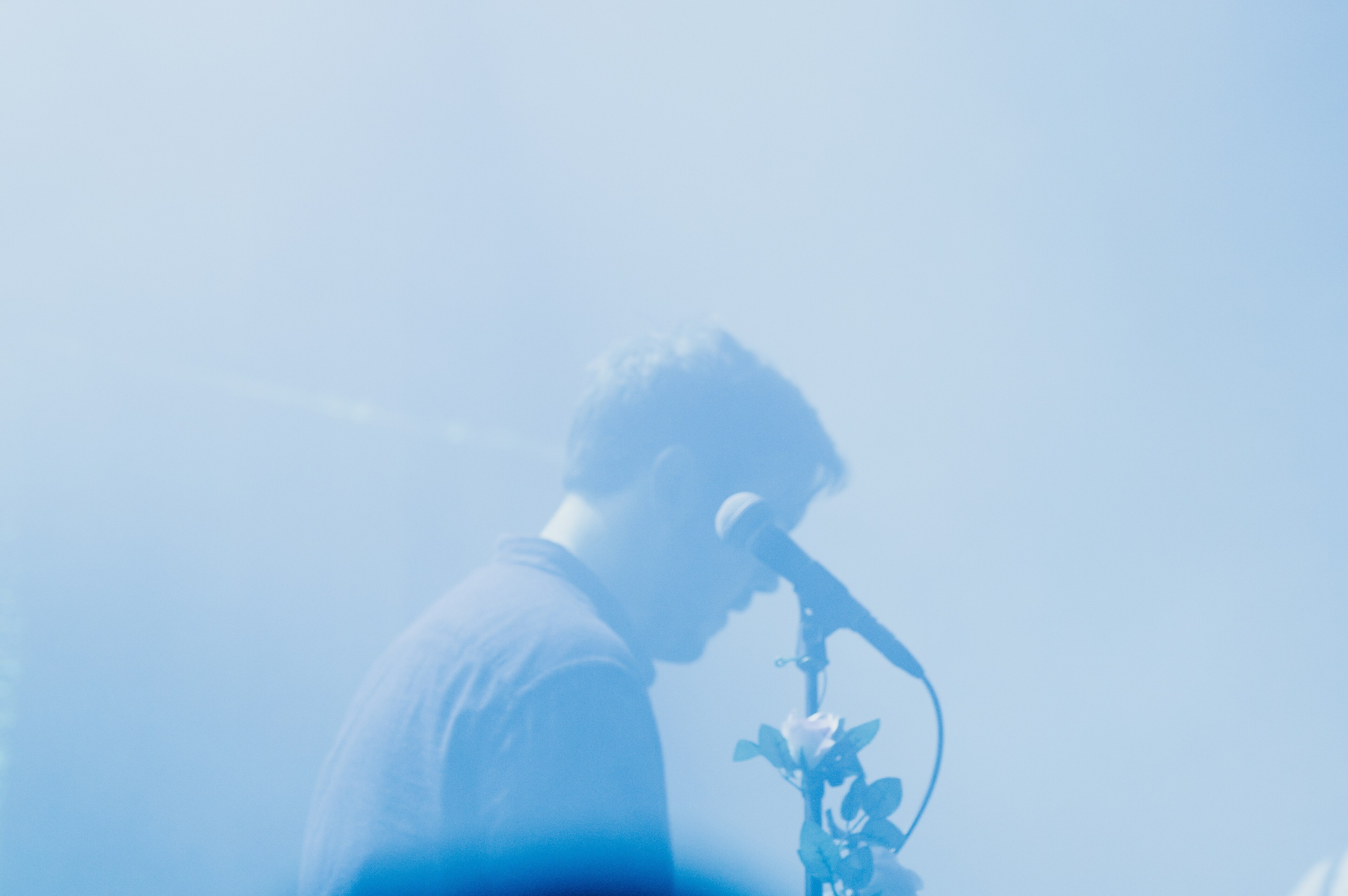 Banner Kép
