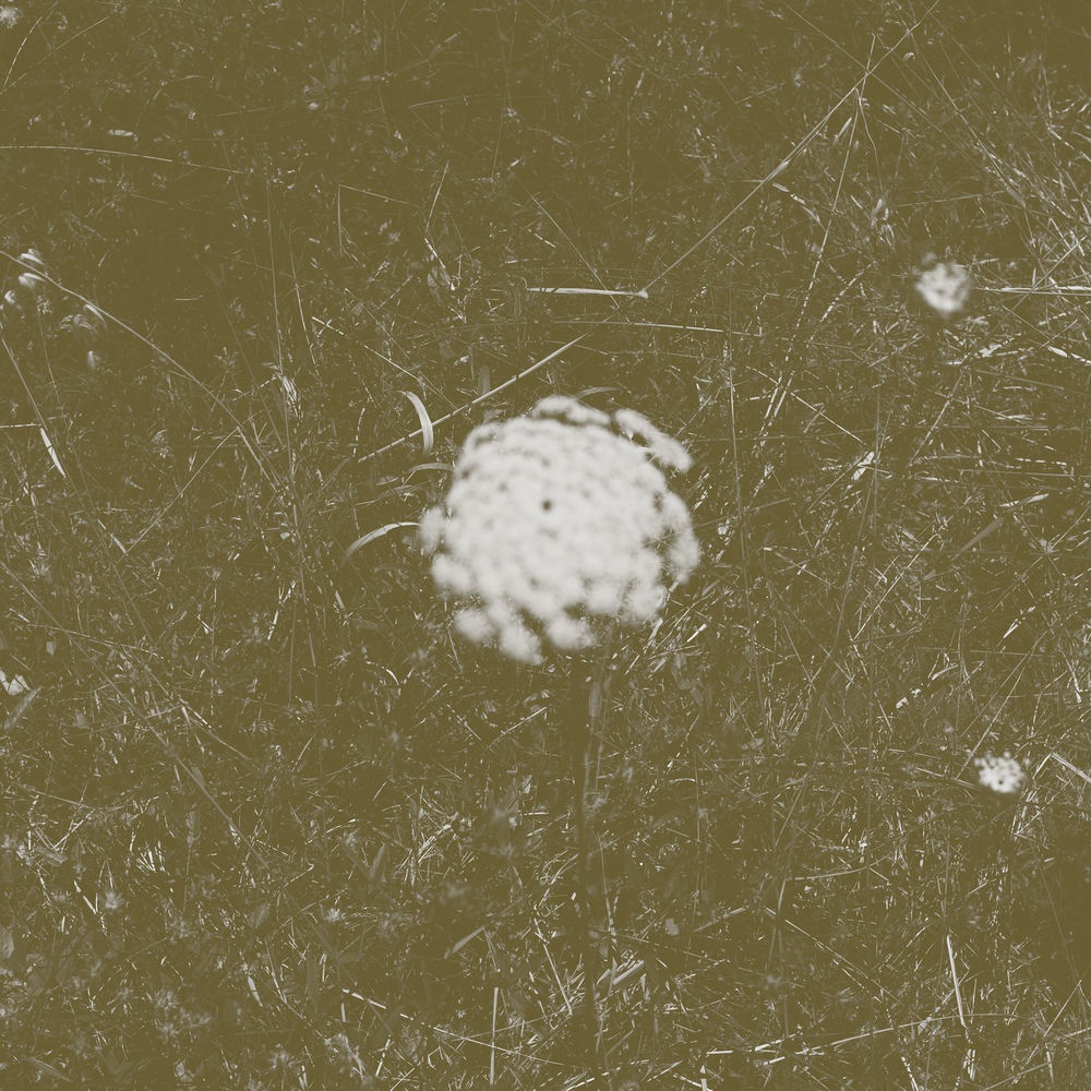 Banner Kép