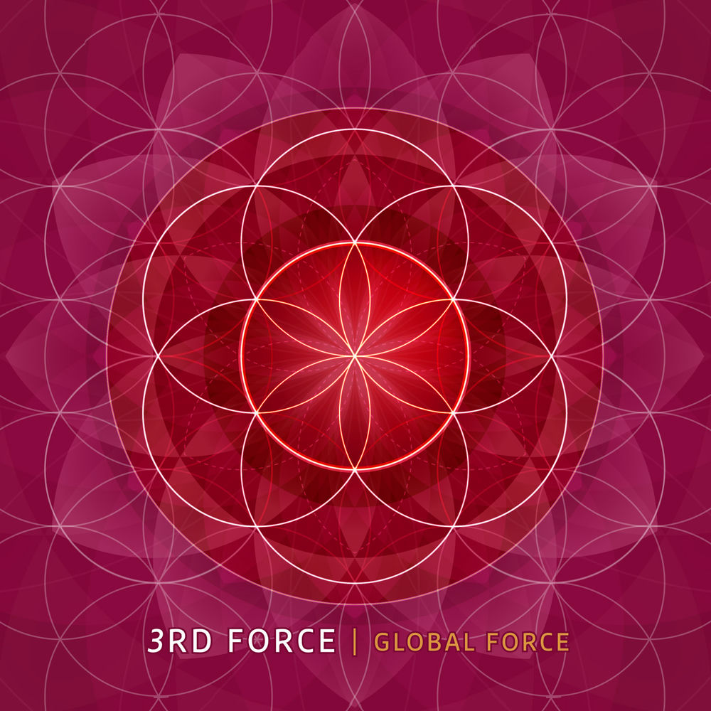 3rd Force profilképe