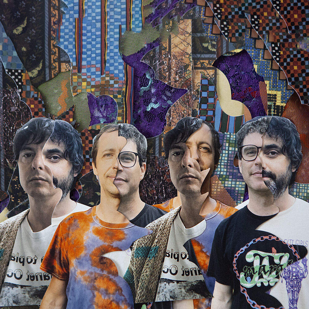 Animal Collective profilképe