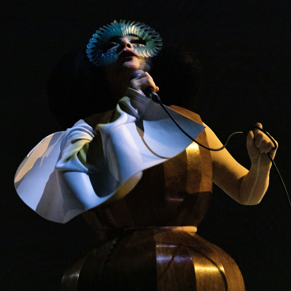 Björk profilképe