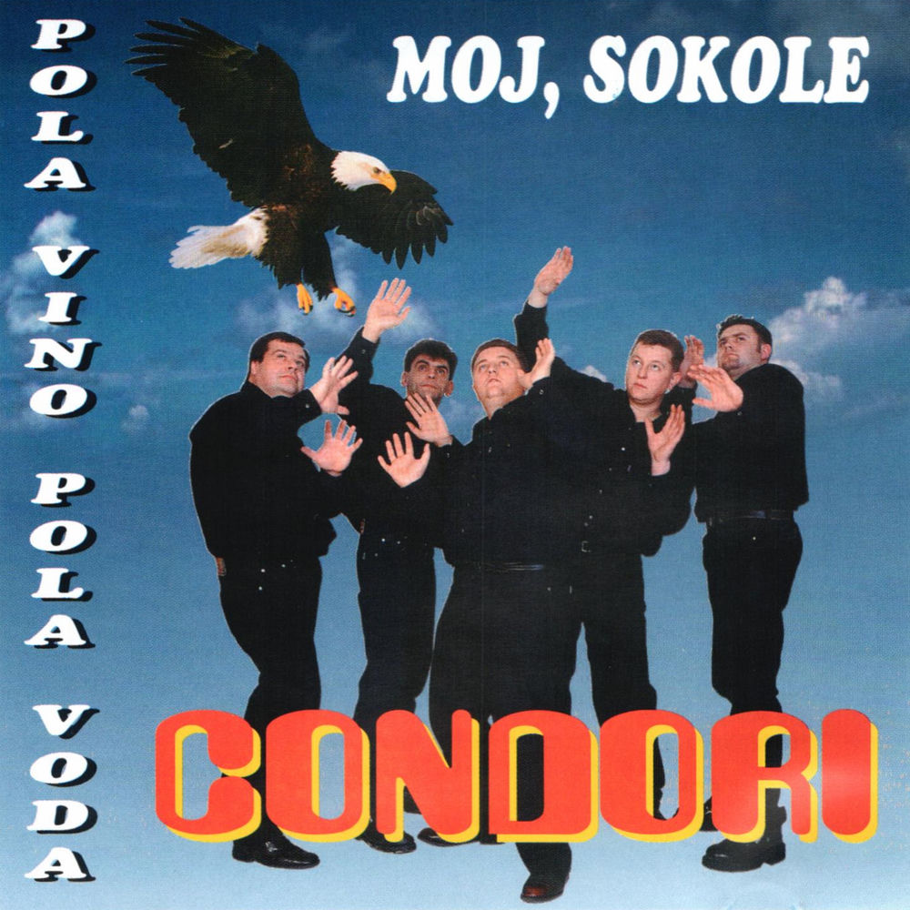 Chuquimamani-Condori profilképe
