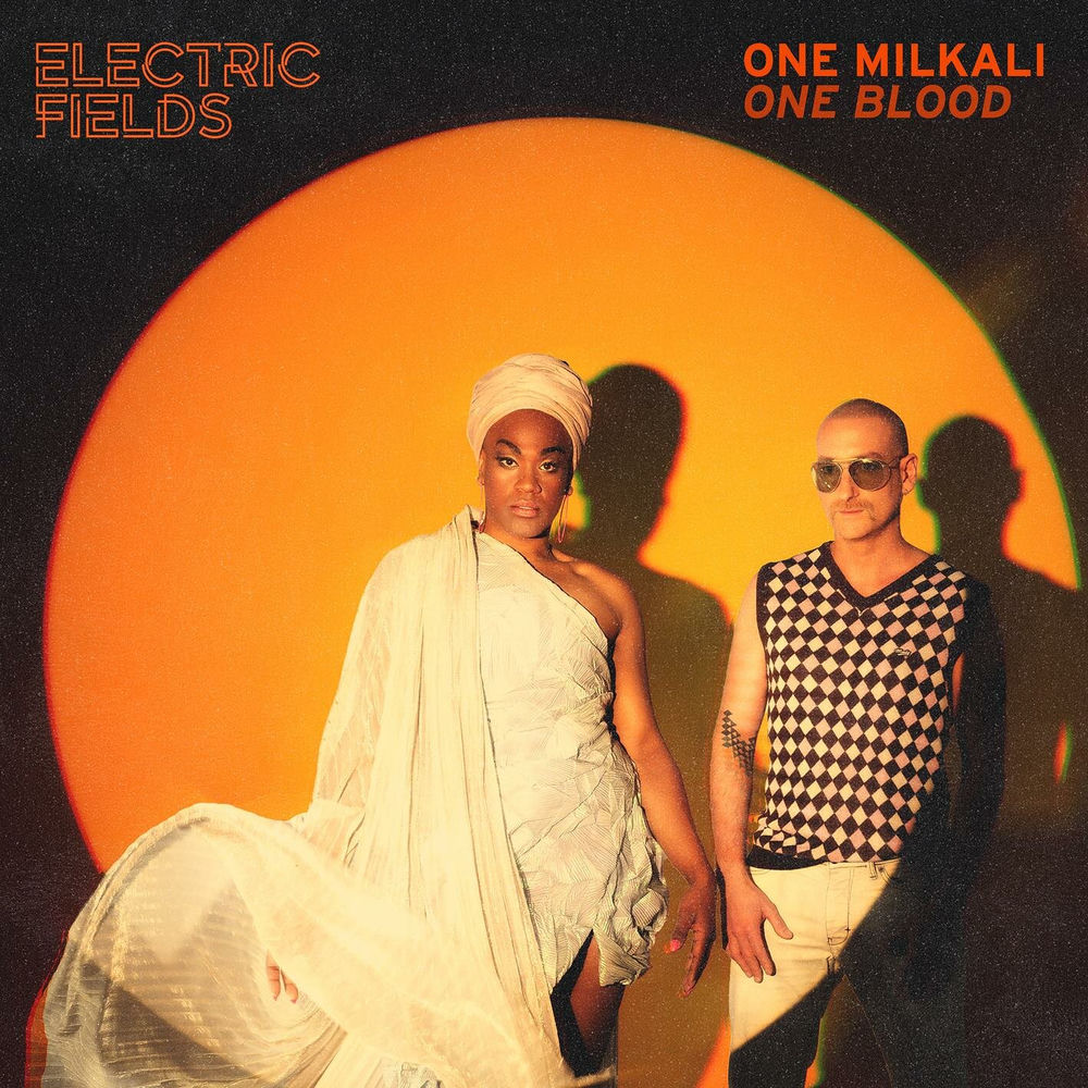 Electric Fields profilképe