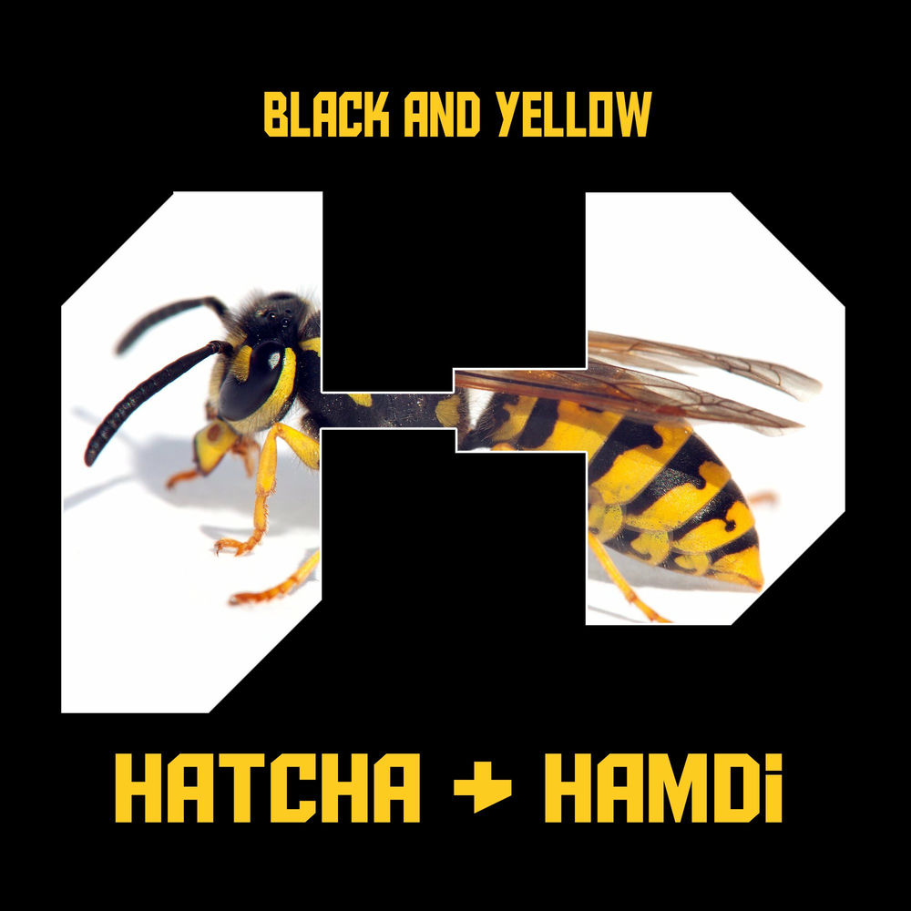 Hatcha profilképe