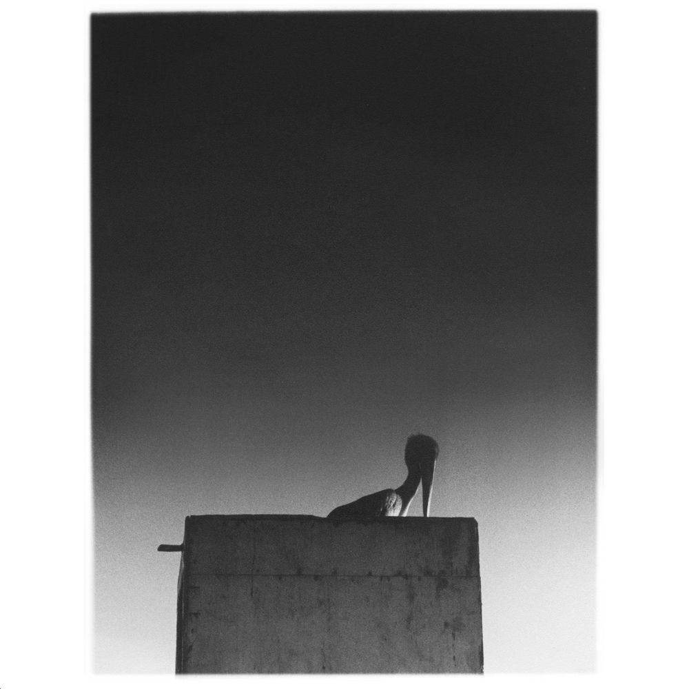 Mika Vainio profilképe