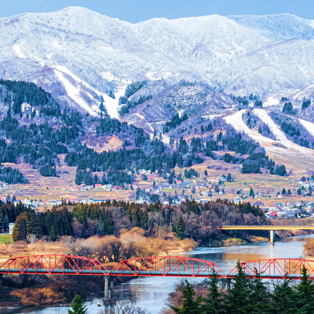 Minami profilképe