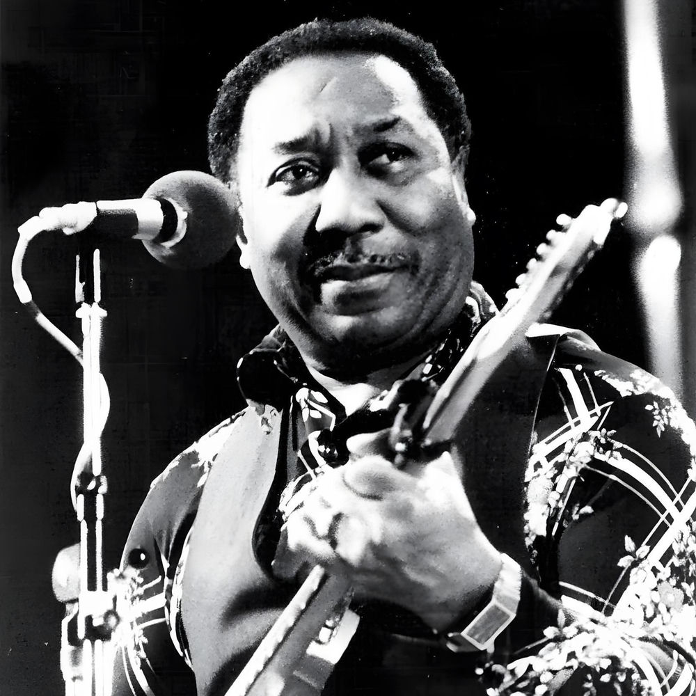 Muddy Waters profilképe