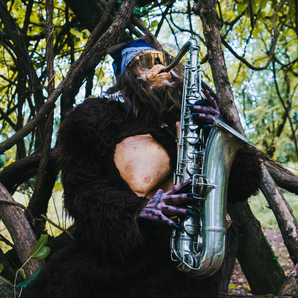 Saxsquatch profilképe