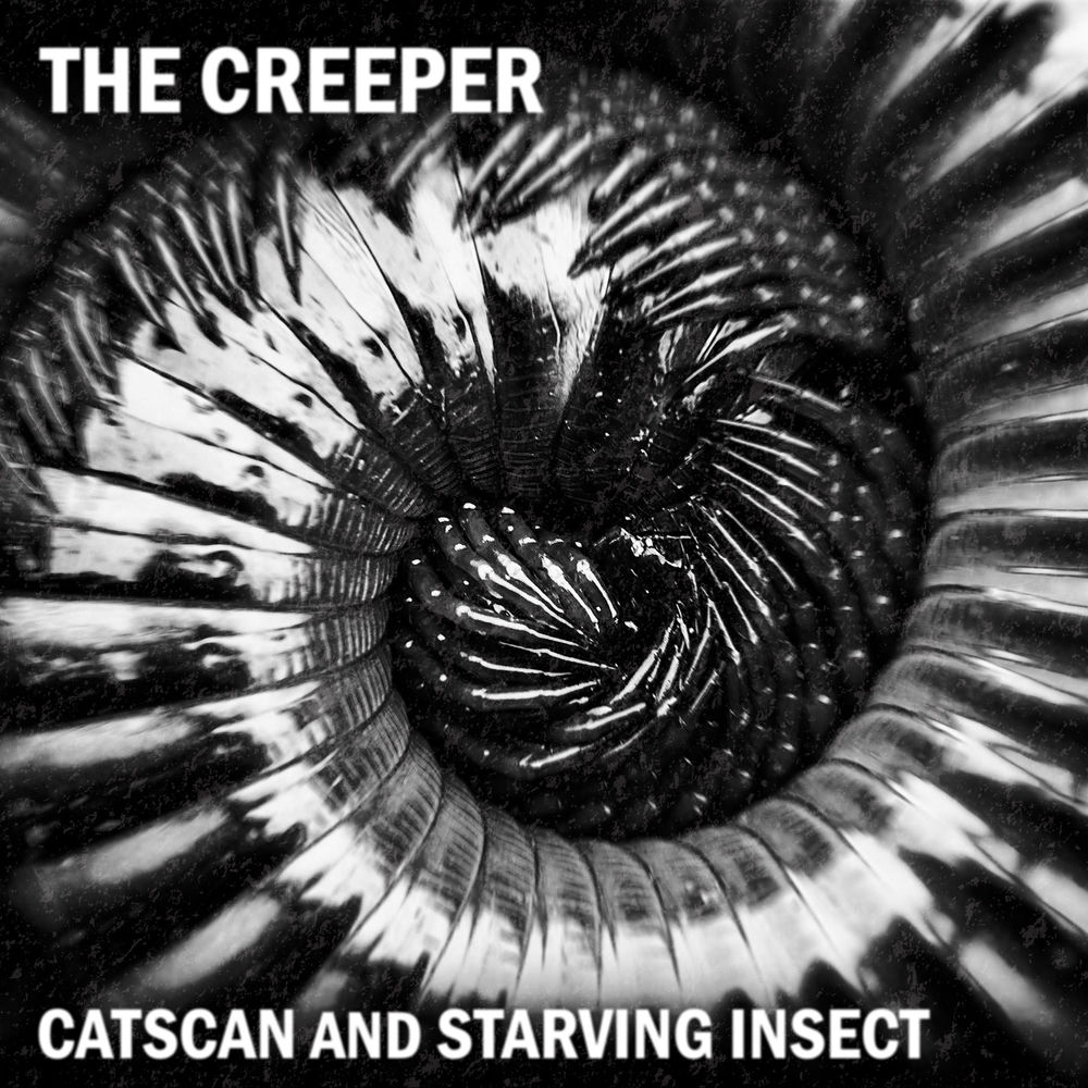 Starving Insect profilképe