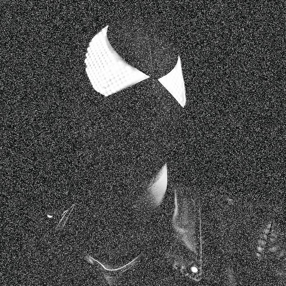 The Bloody Beetroots profilképe