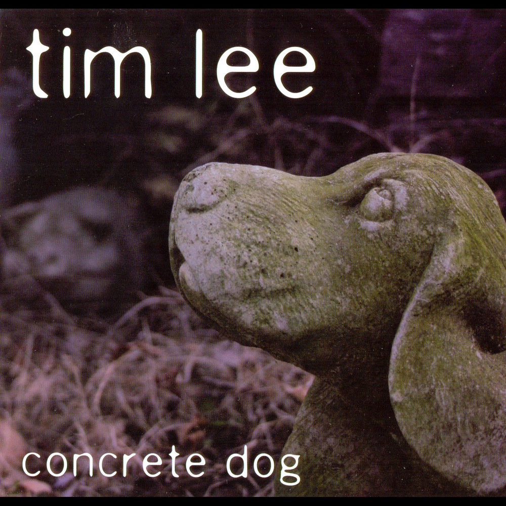 Tim Lee profilképe