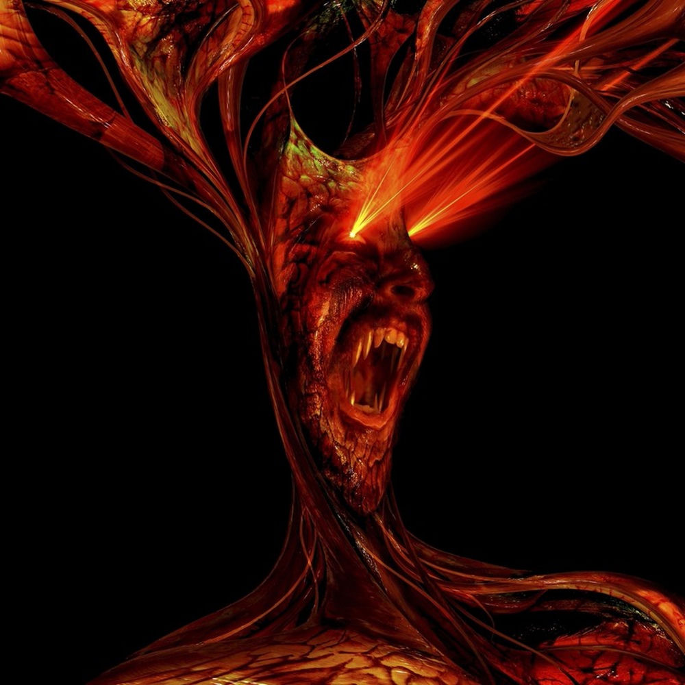 VHS Head profilképe